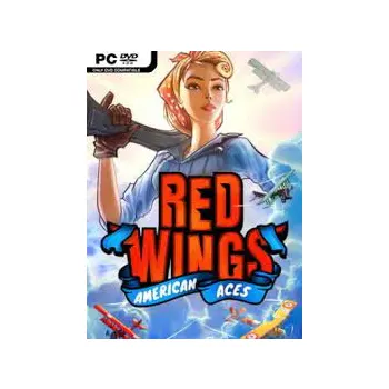 All In Games Red Wings American Aces PC Game
